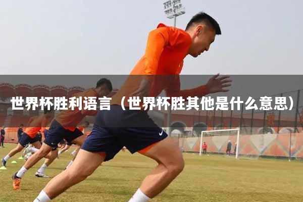 世界杯胜利语言（世界杯胜其他是什么意思）