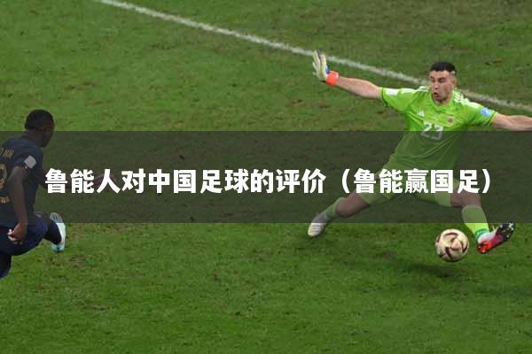 鲁能人对中国足球的评价（鲁能赢国足）