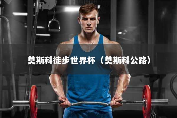 莫斯科徒步世界杯（莫斯科公路）